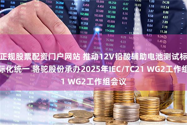 正规股票配资门户网站 推动12V铅酸辅助电池测试标准国际化统一 骆驼股份承办2025年IEC/TC21 WG2工作组会议