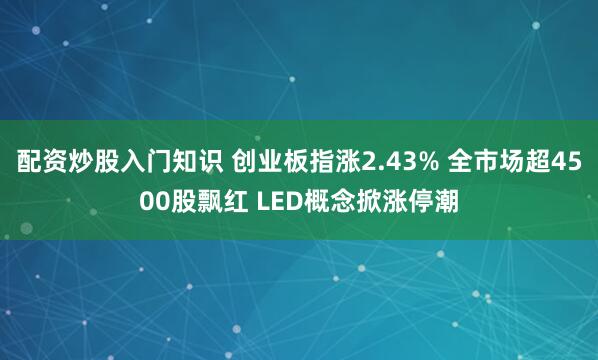 配资炒股入门知识 创业板指涨2.43% 全市场超4500股飘红 LED概念掀涨停潮
