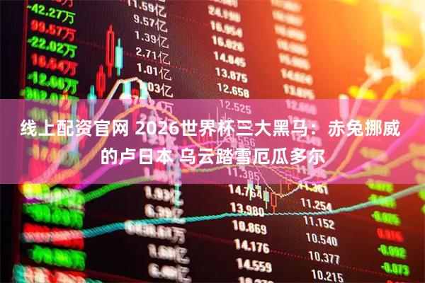 线上配资官网 2026世界杯三大黑马：赤兔挪威 的卢日本 乌云踏雪厄瓜多尔